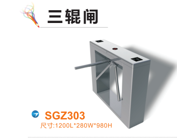 盐边县三辊闸四号